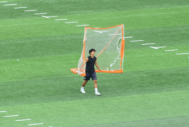 发了许多讨