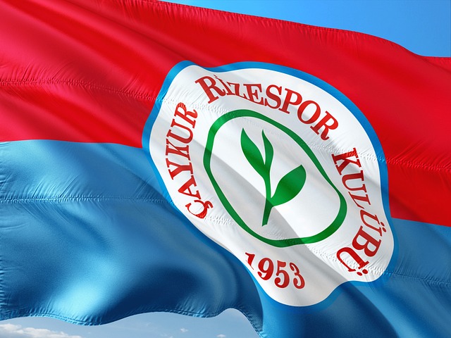 有潜力的球 有潜力的球