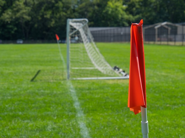 球迷的不满 球迷的不满