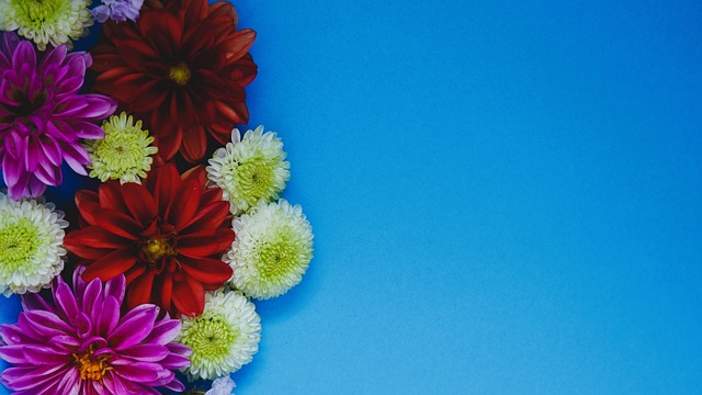 中国足球职 中国足球职