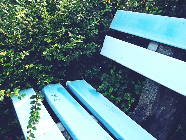 素也将对赛 素也将对赛