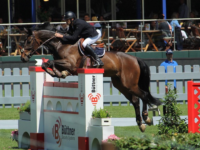 正处于快速 正处于快速