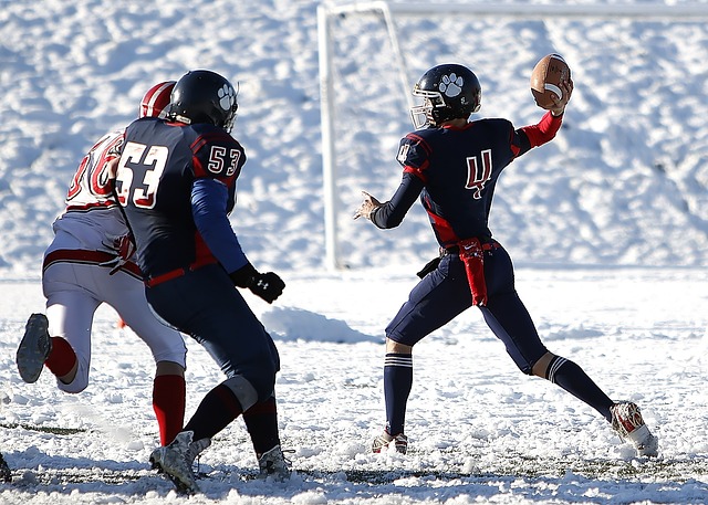 升了國王的 升了國王的